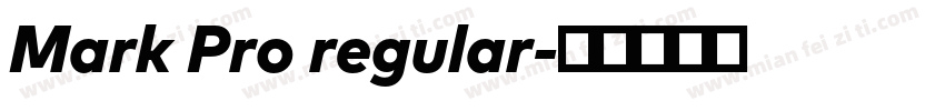 Mark Pro regular字体转换